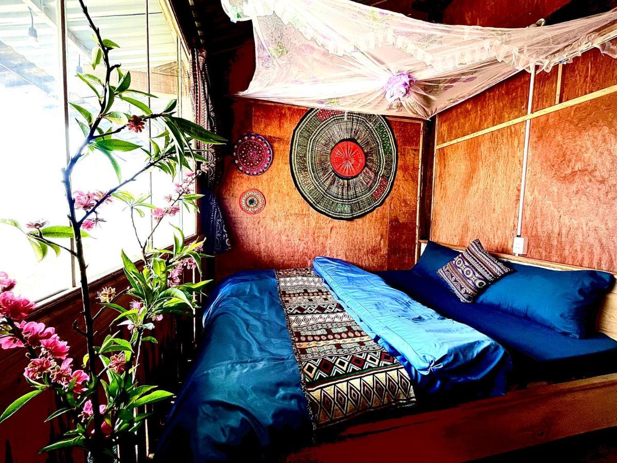 Du Gia Cozy & Tours *