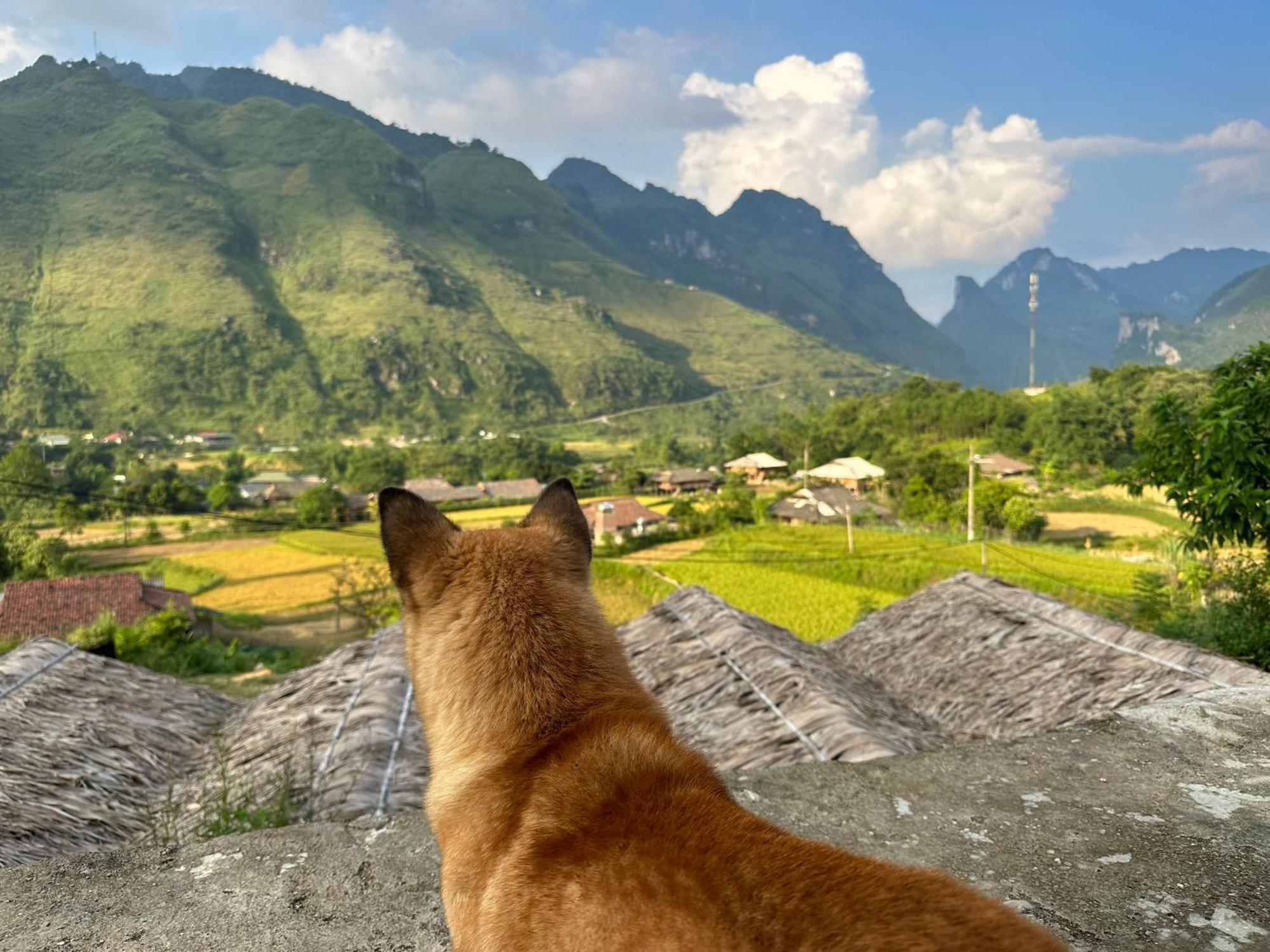 Du Gia Cozy & Tours Homestay Lang Cac